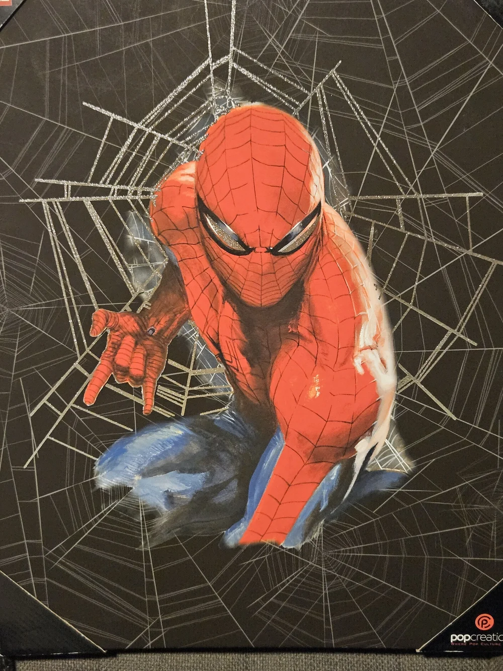 Marvel Spider-man  Web Action Wall Frame Art